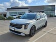  Kia Carnival Hybrid