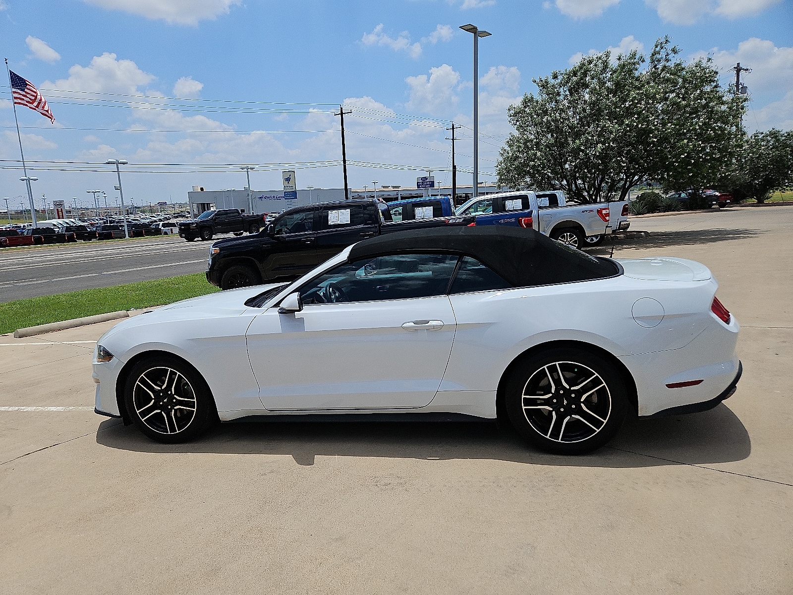 Used 2023 Ford Mustang EcoBoost Premium with VIN 1FATP8UH2P5100787 for sale in San Angelo, TX