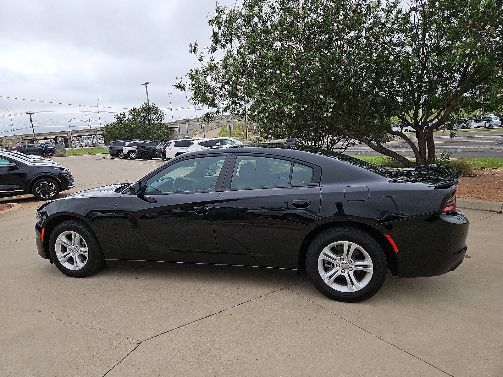 Used 2023 Dodge Charger SXT with VIN 2C3CDXBG7PH511199 for sale in San Angelo, TX