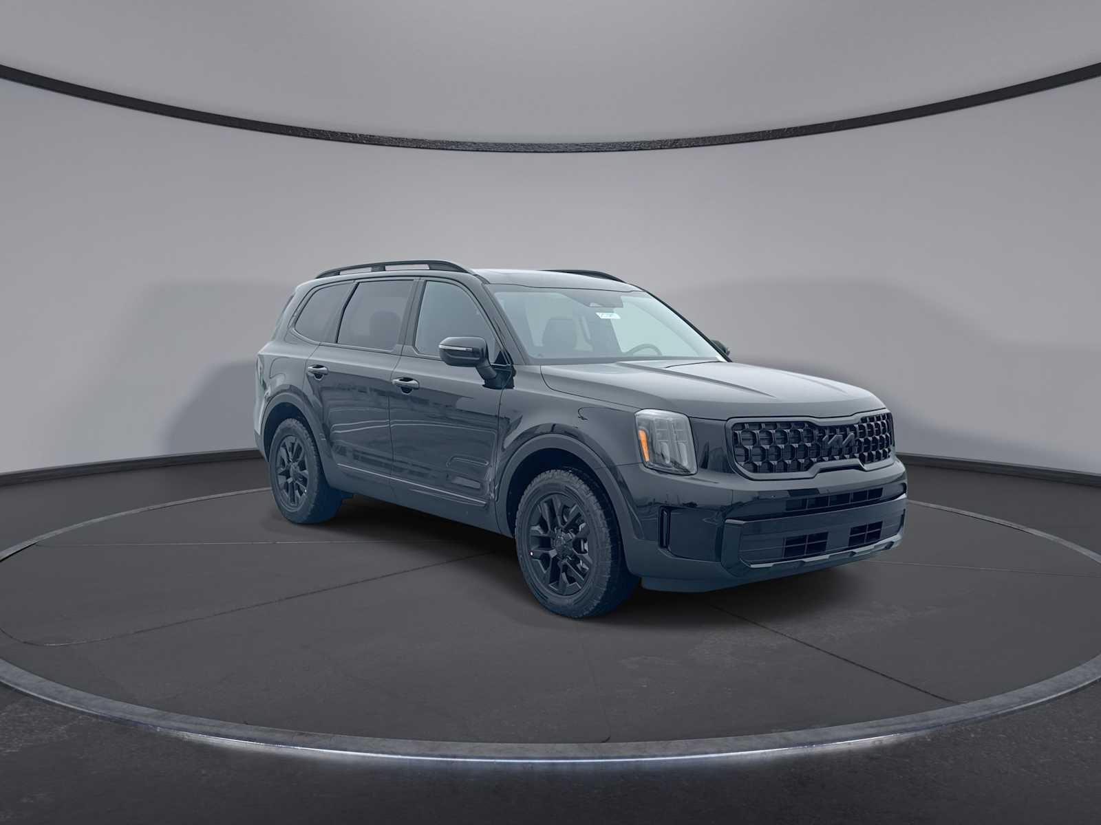 2025 Kia Telluride EX X-Pro photo 2