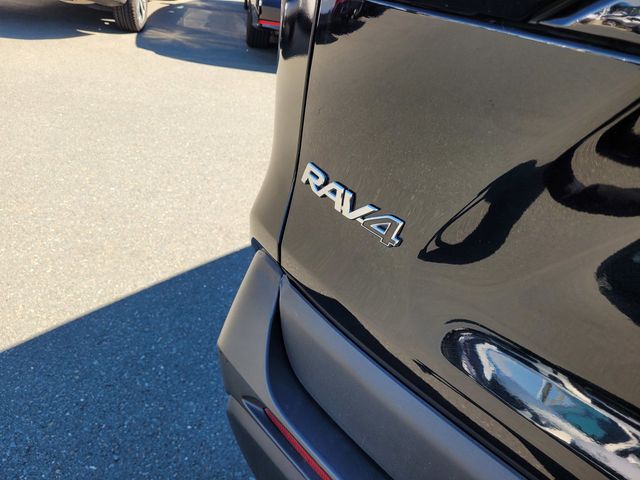 2024 Toyota RAV4 XLE photo 5