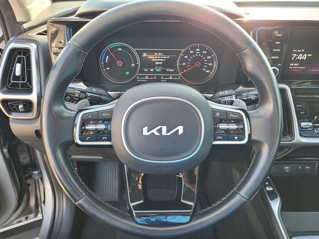 Photo 19