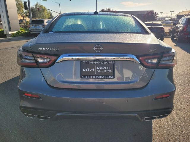 2023 Nissan Maxima SV photo 4