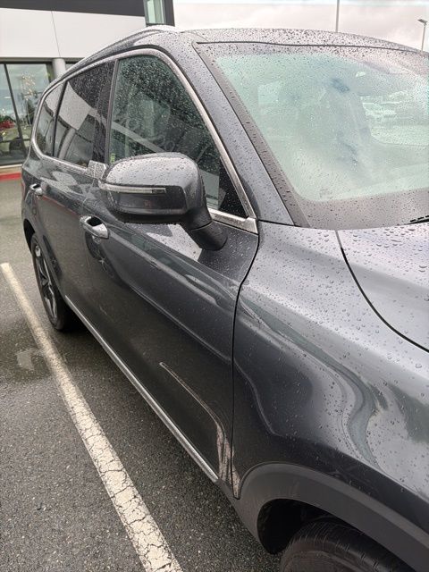 2024 Kia Telluride EX photo 6