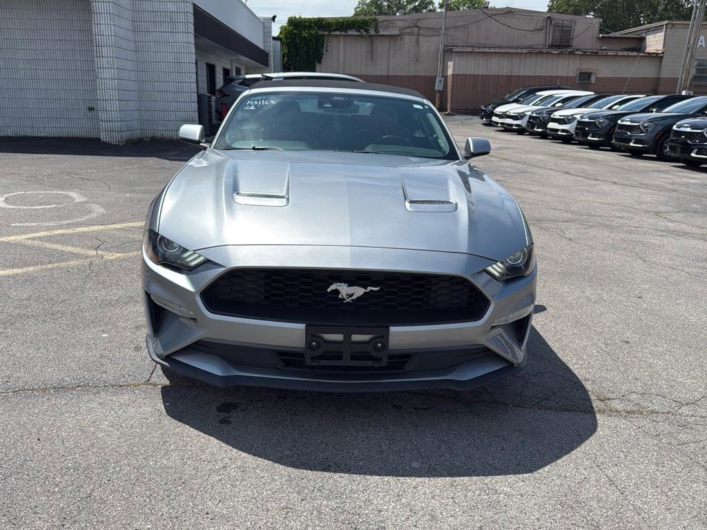 Used 2022 Ford Mustang EcoBoost Premium with VIN 1FATP8UH7N5101026 for sale in Sheffield, AL