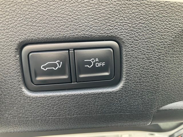 2025 Kia Telluride SX Prestige X-Line - Photo 58