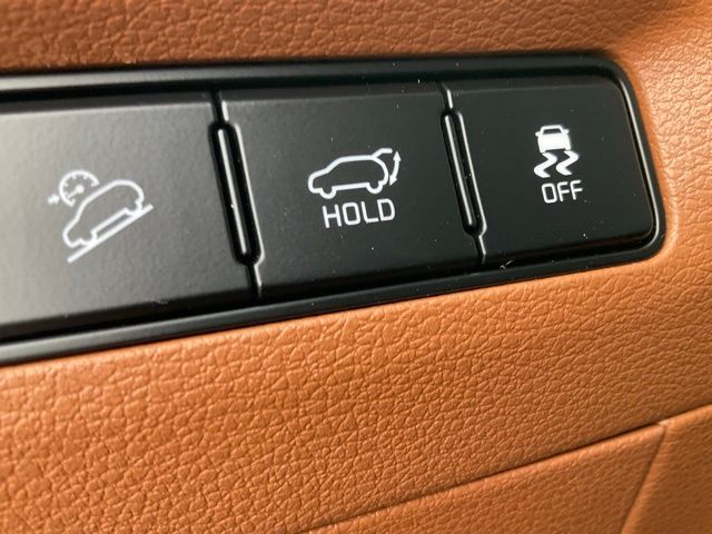 2025 Kia Telluride SX Prestige X-Line - Photo 45