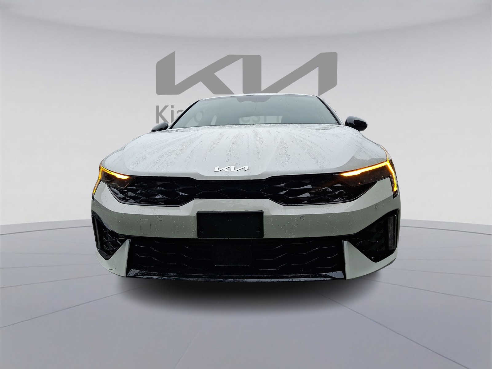 KNAG64J79T5494248