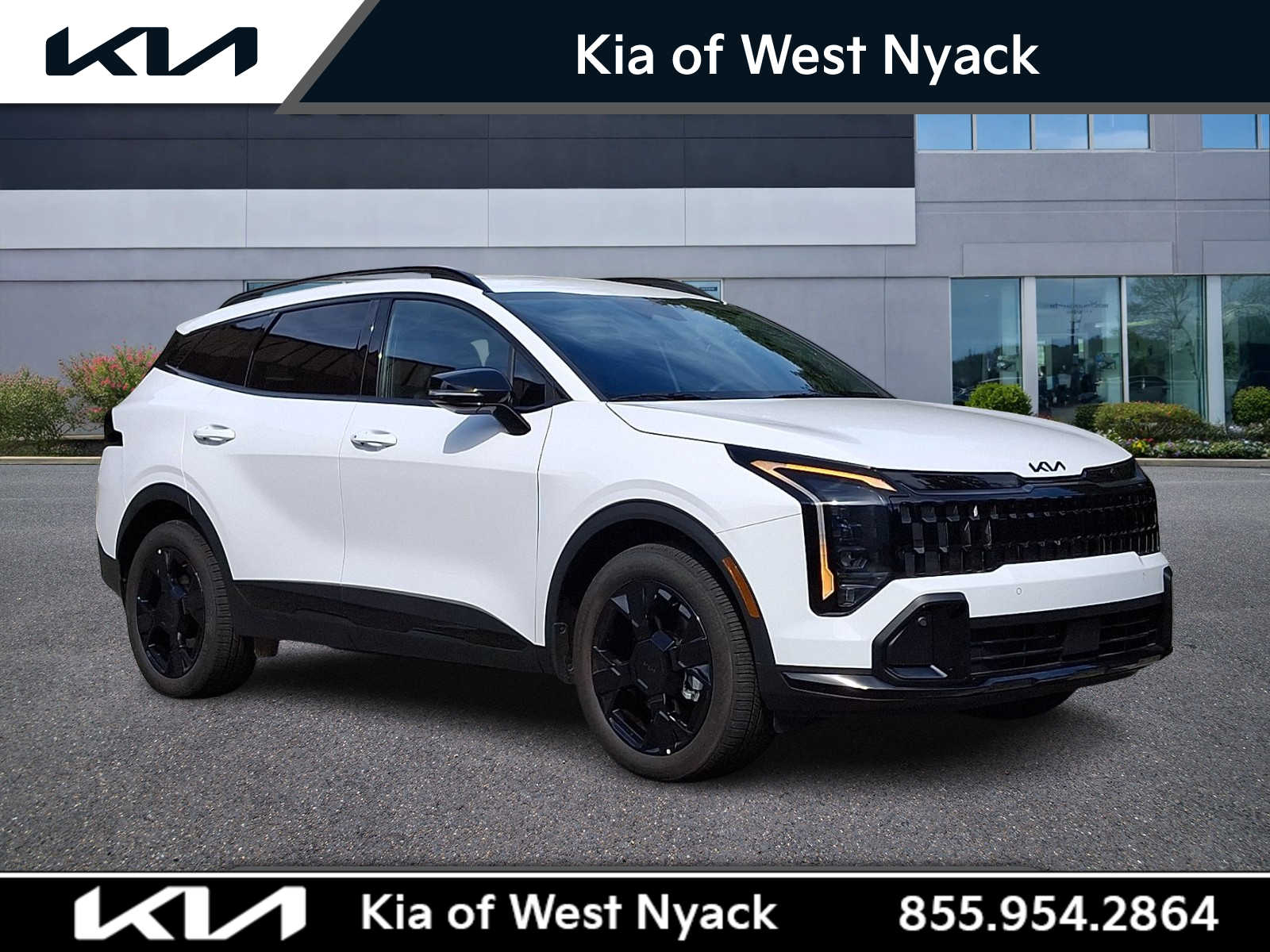 5XYK6CDF9TG411175