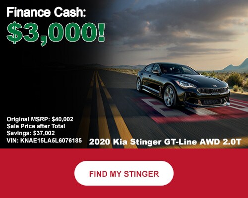 26-20-stinger-discount.jpg