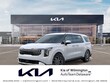  Kia Carnival Hybrid