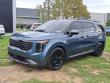 2025 Kia Carnival SX Van Passenger Van