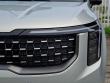 2027 Kia Carnival Hybrid SX Van Passenger Van