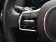 2025 Kia Carnival SX Van Passenger Van