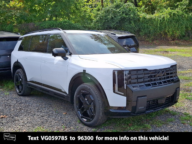  Kia Telluride Hybrid