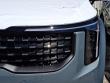 2027 Kia Carnival Hybrid SX Van Passenger Van