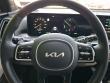 2025 Kia Sorento Plug-In Hybrid SX Prestige SUV