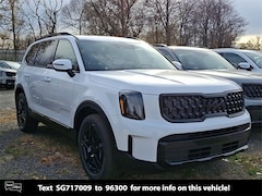 2025 Kia Telluride EX X-Line SUV