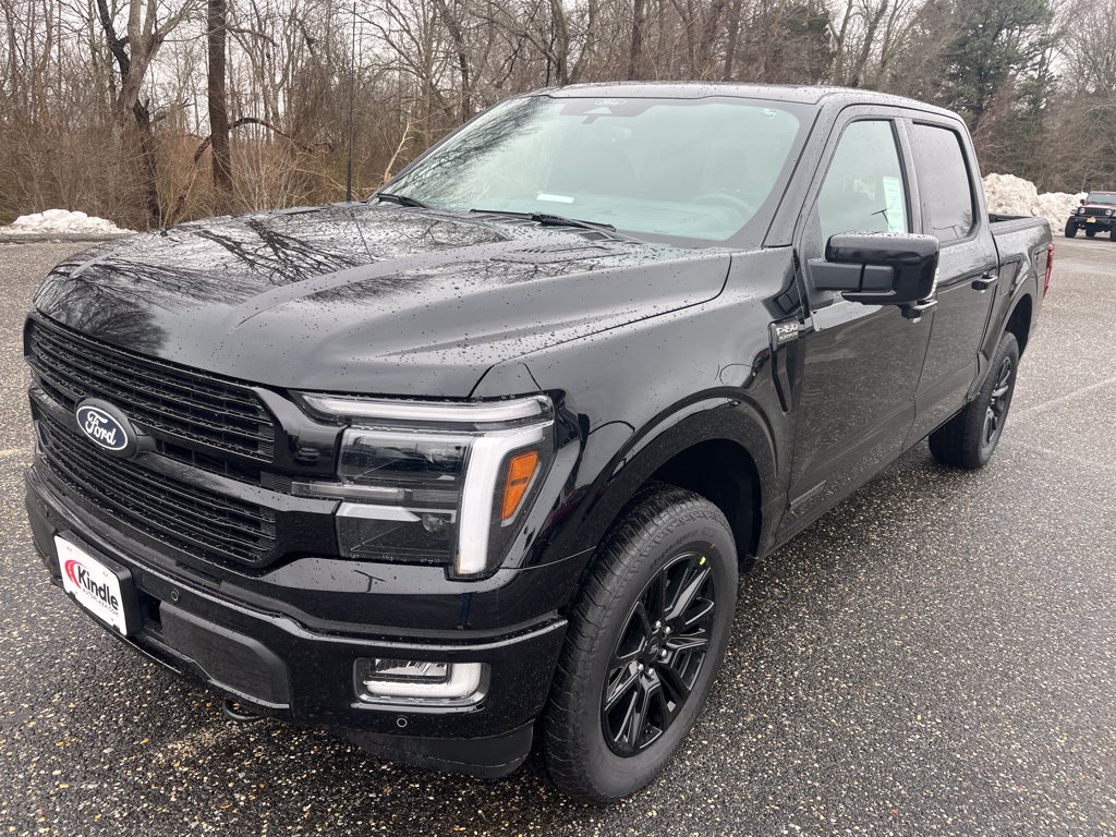 2026 Ford F-150 Platinum - Photo 19