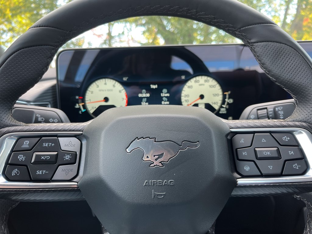 2025 Ford Mustang EcoBoost Premium Fastback - Photo 6