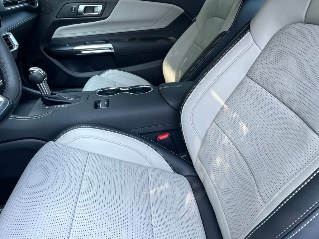 2025 Ford Mustang EcoBoost Premium Fastback - Photo 15