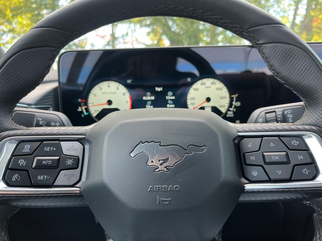 2025 Ford Mustang EcoBoost Premium Fastback - Photo 6