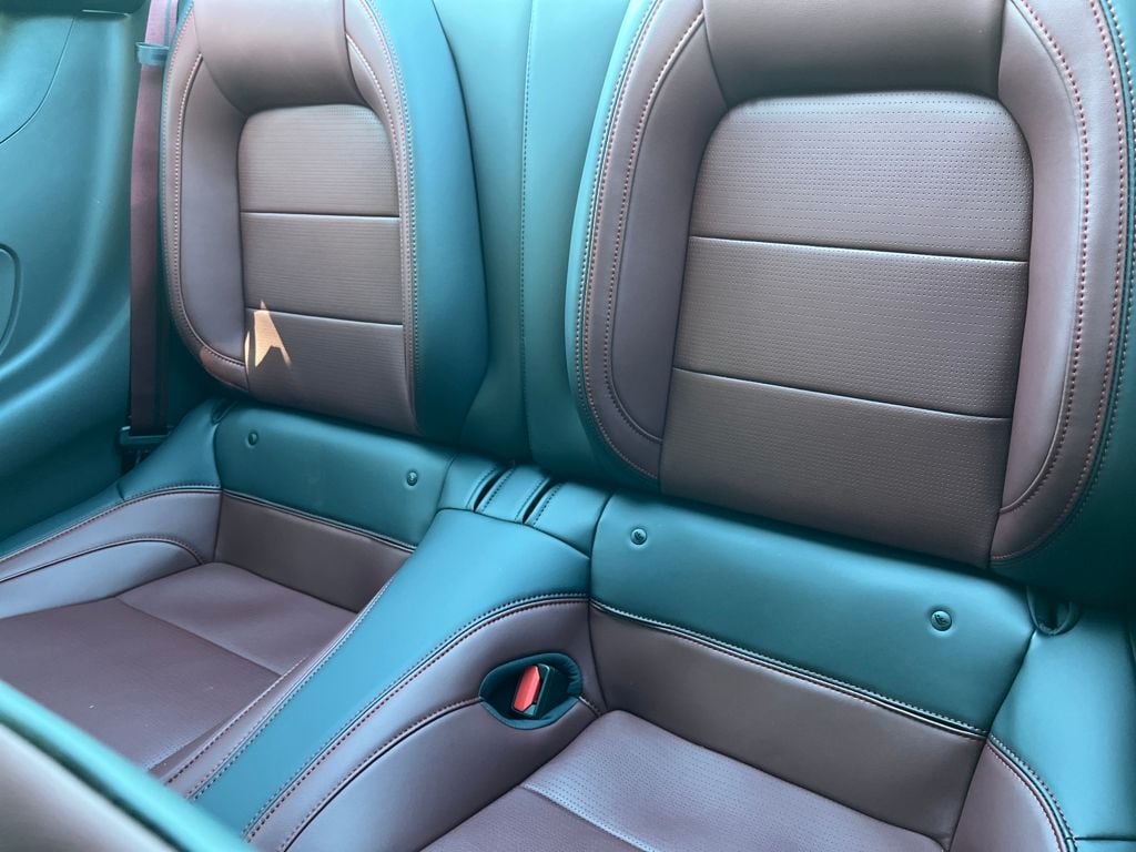 2025 Ford Mustang EcoBoost Premium Fastback - Photo 25