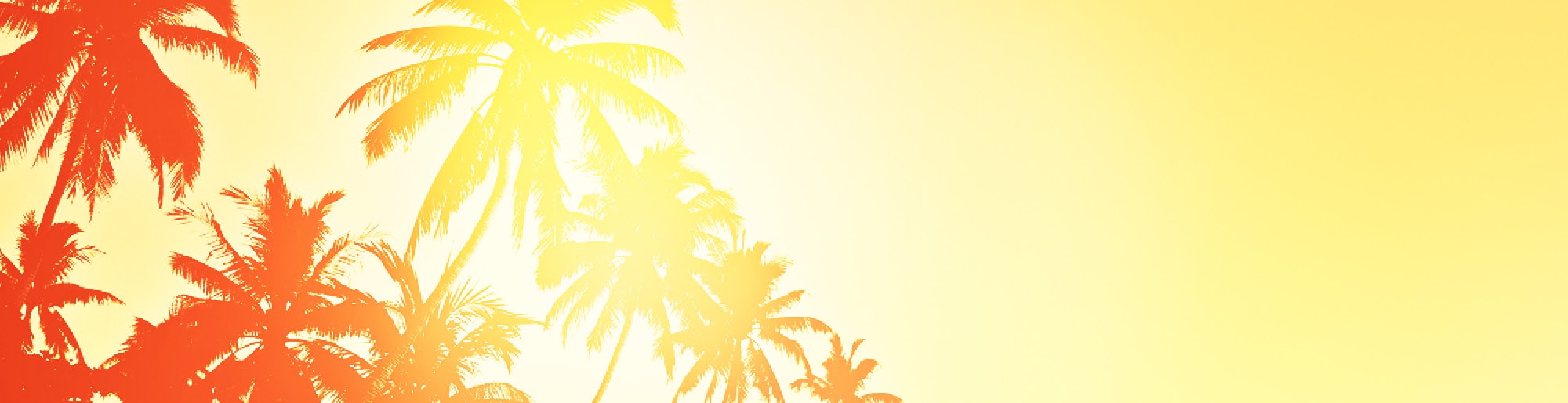 Lihue Kauai's King Chrysler Dodge Jeep Ram New and Used RAM, Jeep