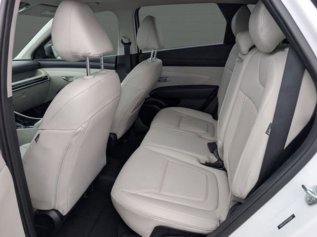 2025 Hyundai Tucson SEL Convenience - Photo 11