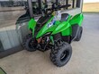  Kawasaki KFX 50