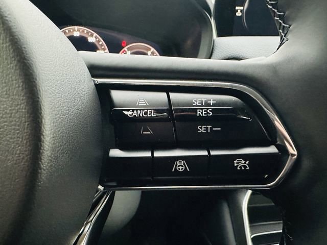 2026 Mazda CX-90 Premium Package - Photo 12