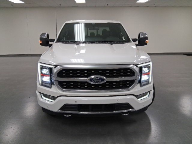 2022 Ford F-150 Platinum photo 2