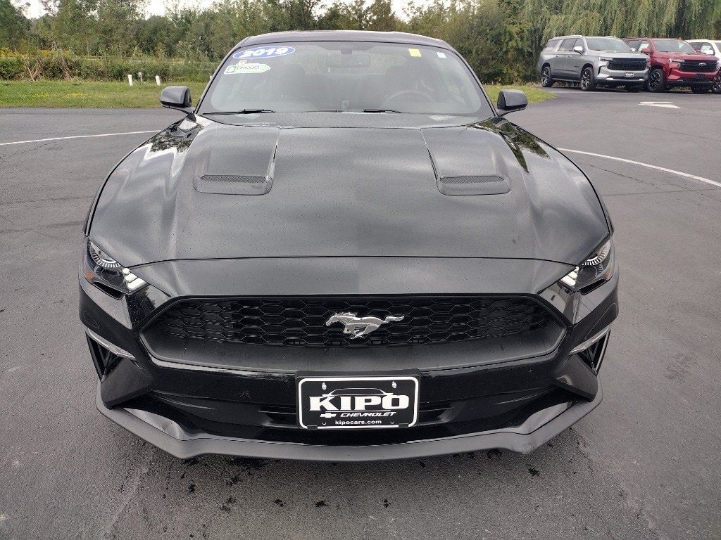 Used 2019 Ford Mustang EcoBoost with VIN 1FA6P8TH7K5172995 for sale in Ransomville, NY