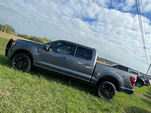 Used 2023 Ford F-150 Platinum with VIN 1FTFW1E88PFB76847 for sale in Grenada, MS