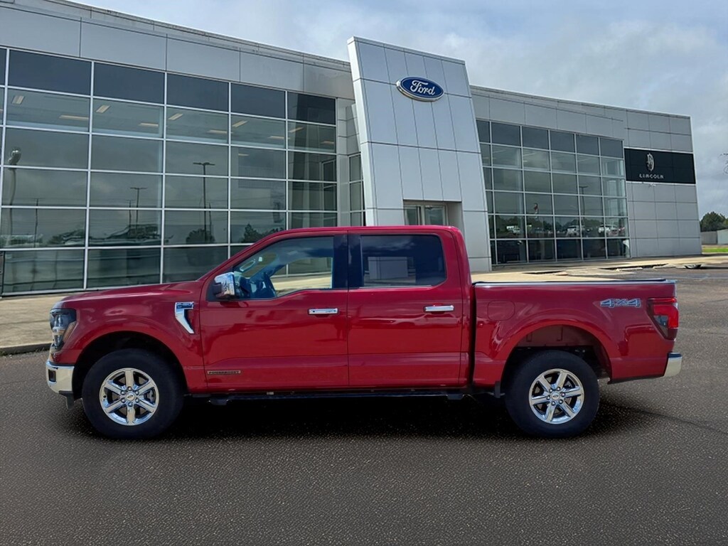 Used 2025 Ford F-150 XLT Crew Cab