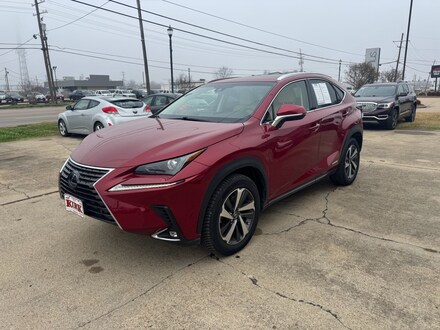 2019 LEXUS NX 300h Base Sport Utility