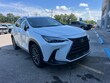 LEXUS NX 250