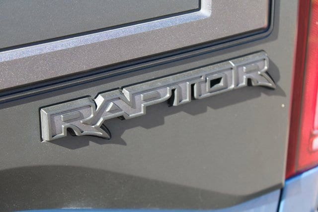 2019 Ford F-150 Raptor - Photo 10