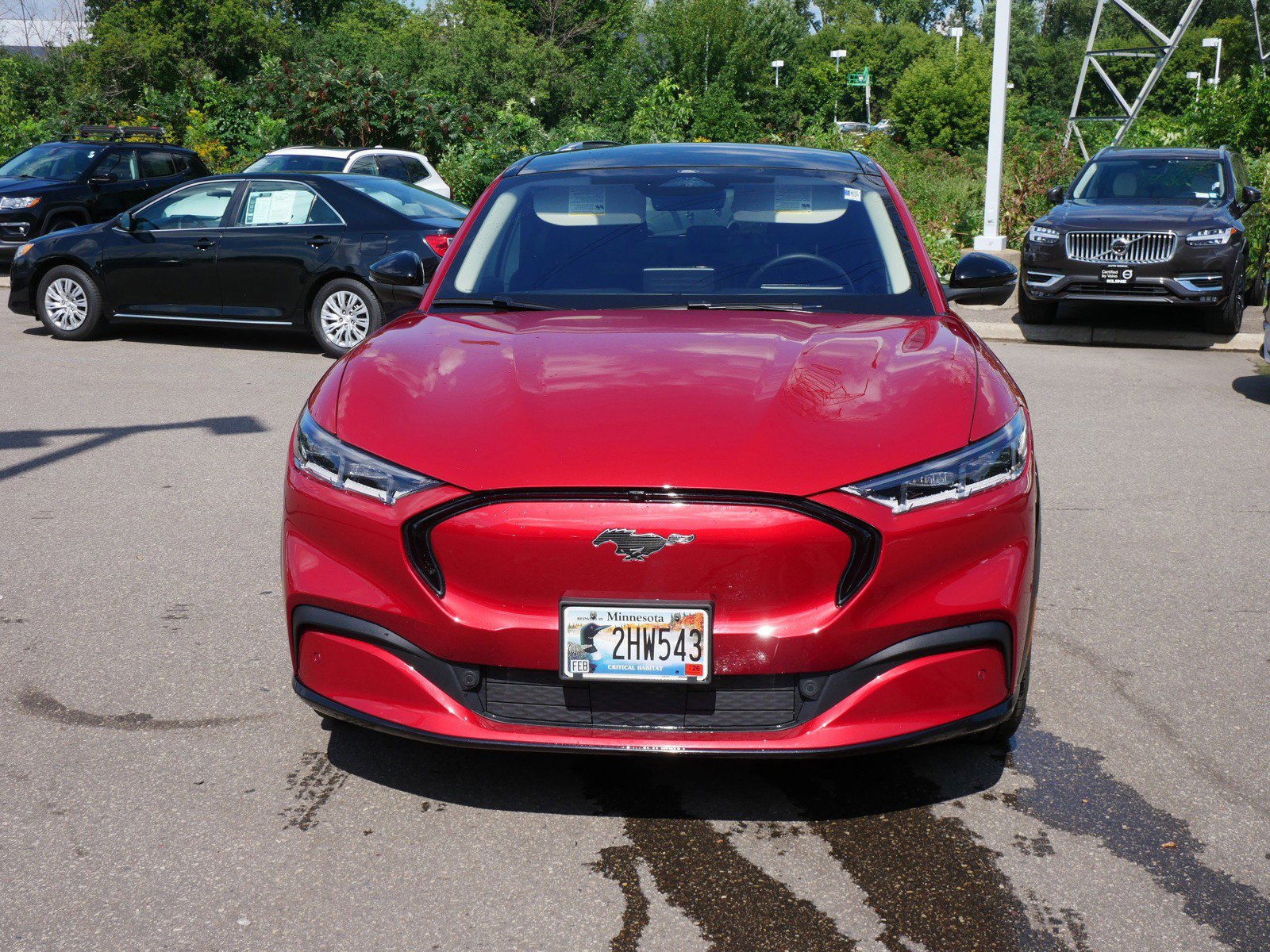 Used 2023 Ford Mustang Mach-E Premium AWD with VIN 3FMTK3SS1PMA11664 for sale in Maplewood, Minnesota