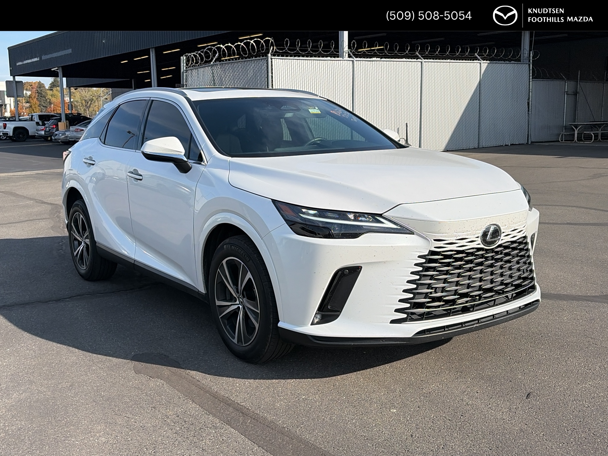 2024 Lexus RX