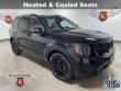 Used 2025 Kia Telluride SX X-Line SUV