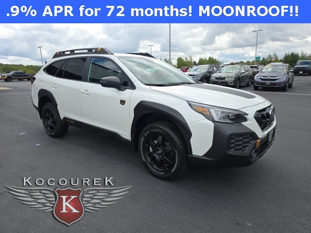 2025 Subaru Outback Wilderness's photo