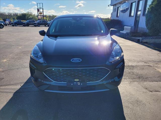 2022 Ford Escape SE photo 2