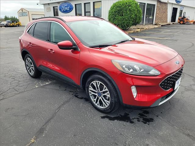 2020 Ford Escape SEL photo 3