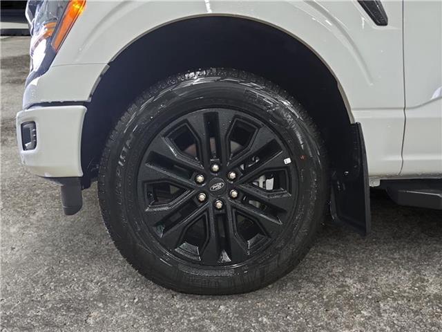 2025 Ford F-150 XLT - Photo 13