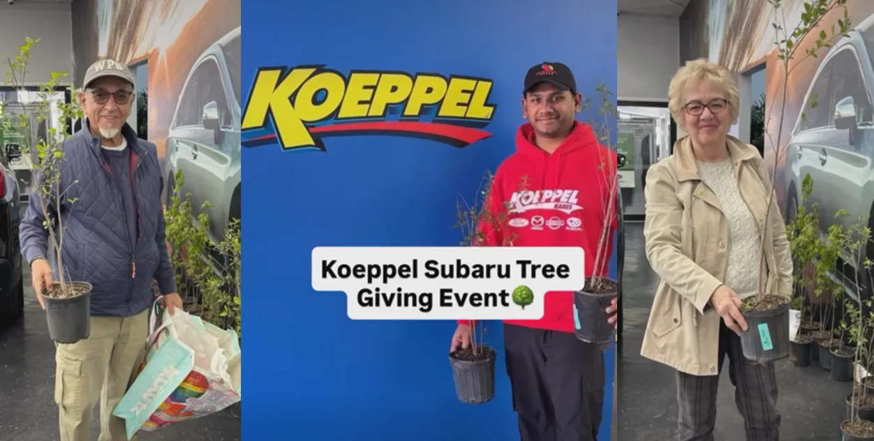 Koeppel Subaru hosts a tree-giving event.