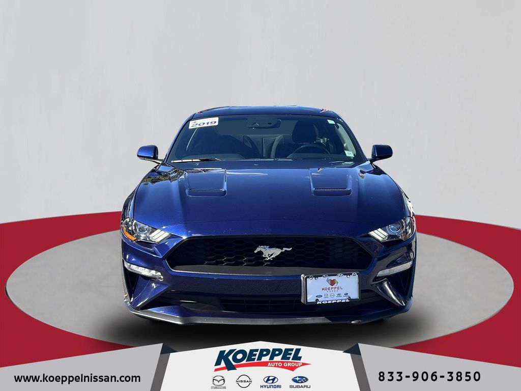 Used 2019 Ford Mustang EcoBoost with VIN 1FA6P8THXK5141143 for sale in Jackson Heights, NY