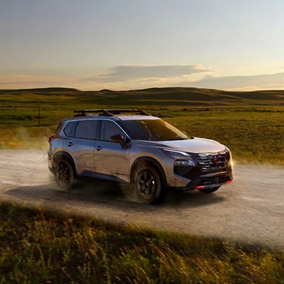 2025 Rogue