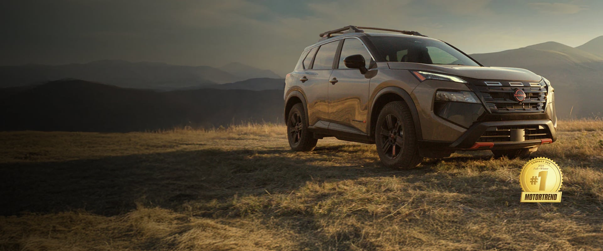 2025 Rogue