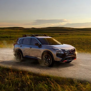 2025 Rogue